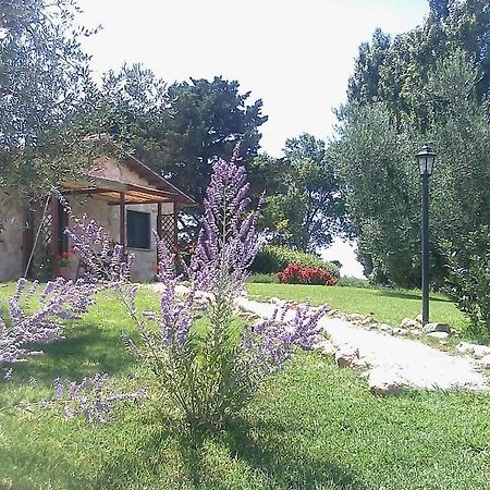 Casale Dinelli Villa Tarquinia Cameră foto