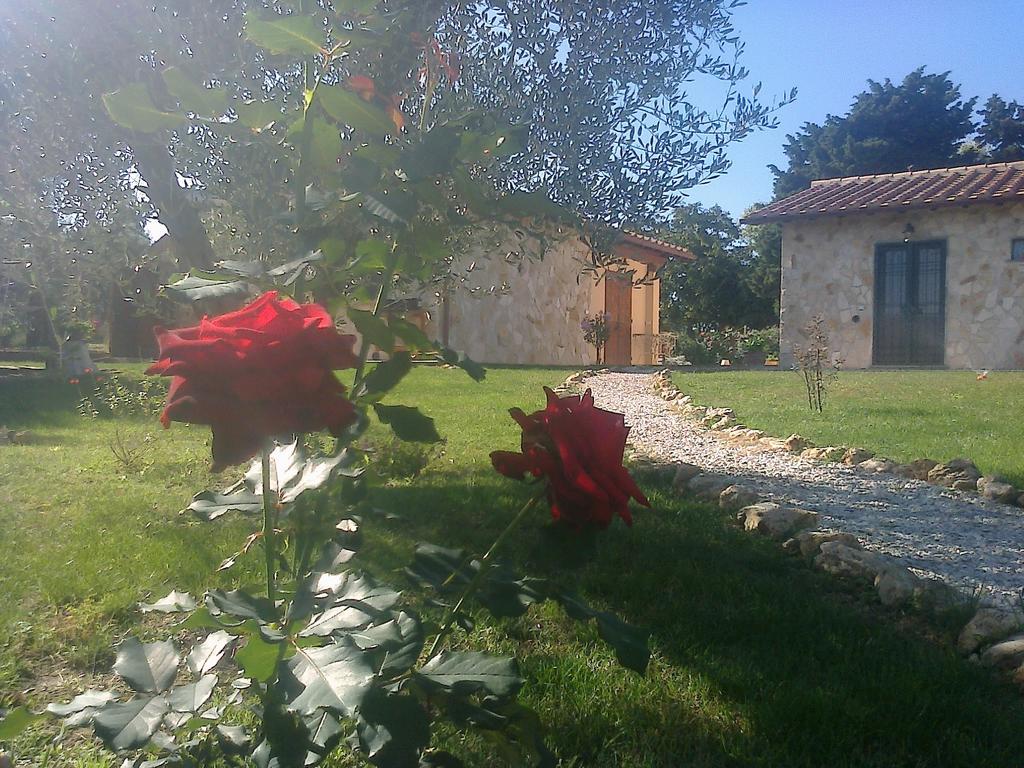 Casale Dinelli Villa Tarquinia Cameră foto