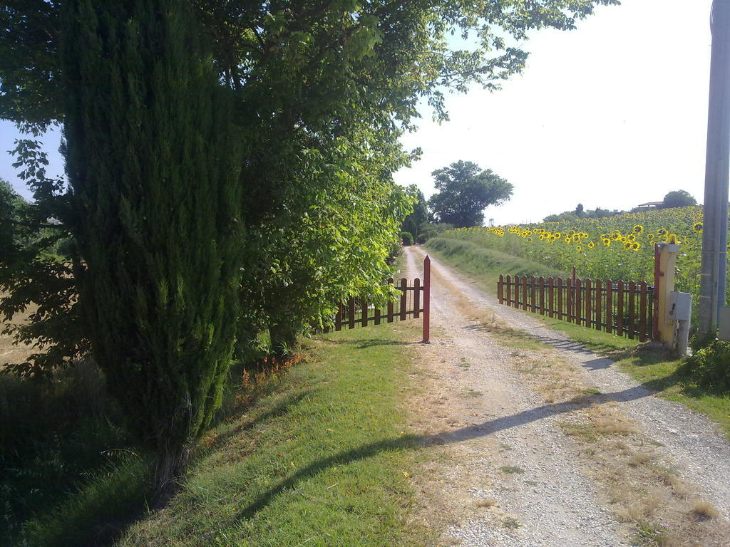 Casale Dinelli Villa Tarquinia Exterior foto